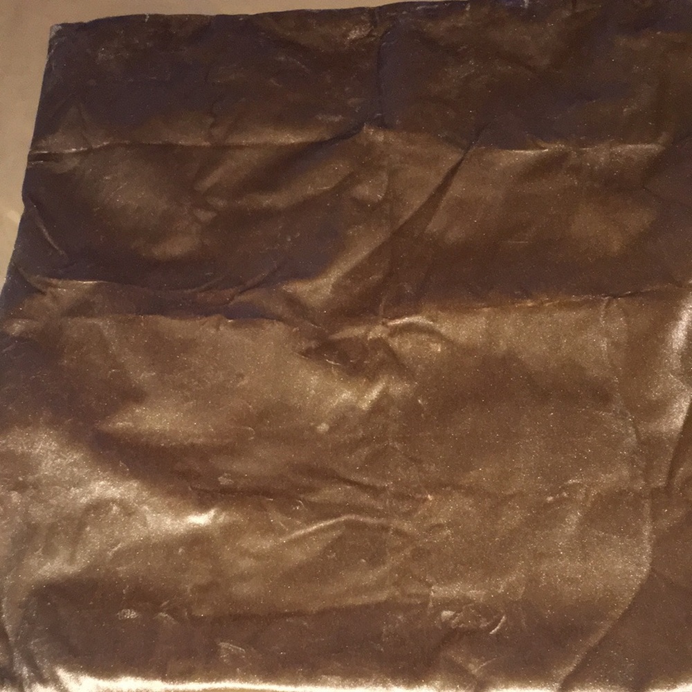 NWOT! 2-Velvet Pillow Covers